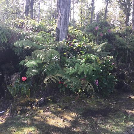Mountain View Simply Convenient Tropical Country Studio المظهر الخارجي الصورة