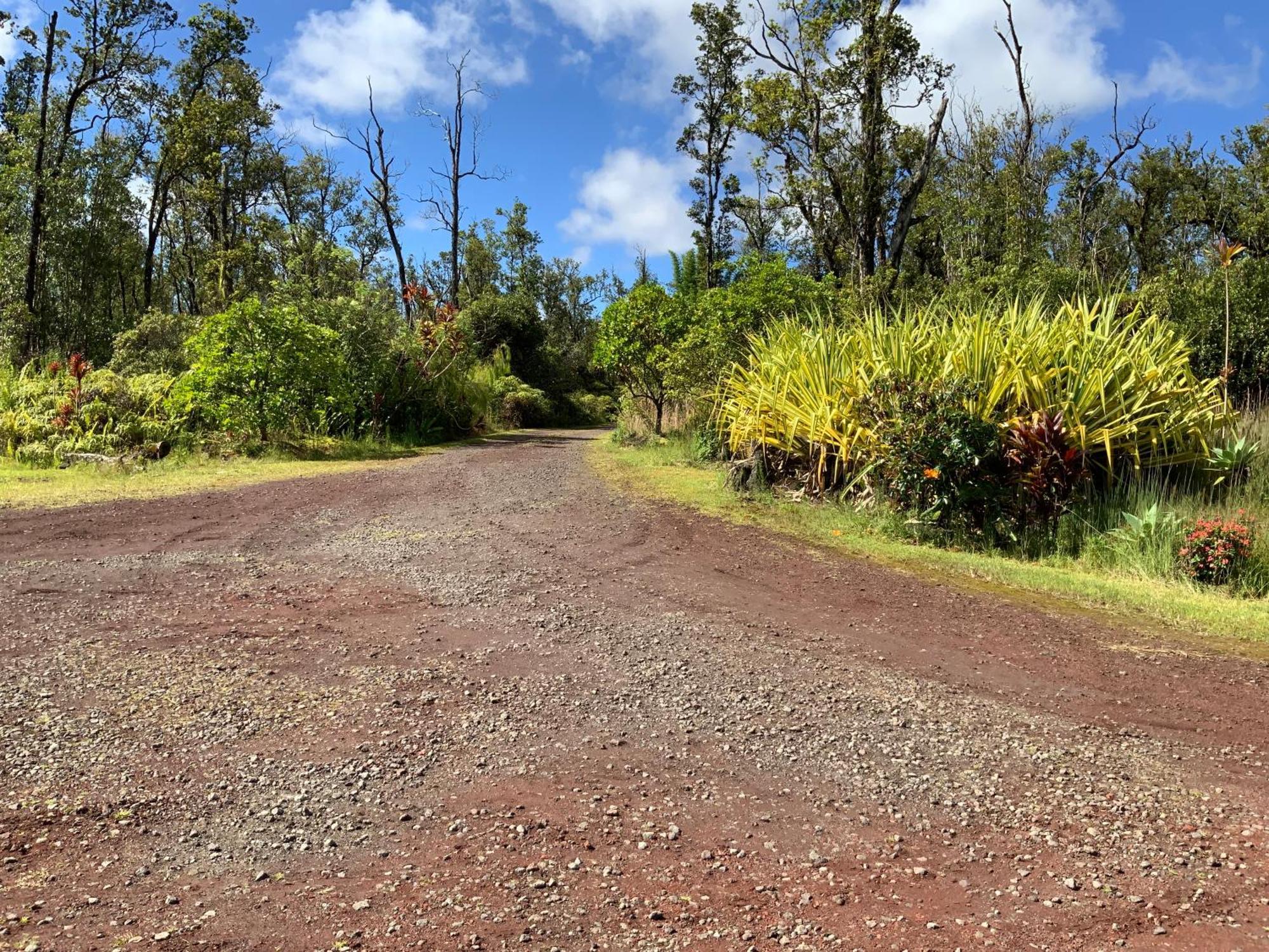 Mountain View Simply Convenient Tropical Country Studio المظهر الخارجي الصورة